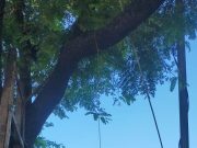 Diduga Putus Cinta, Pemuda di Sukorejo, Ponorogo ini Nekat Gantung Diri