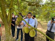 UNIDA Gontor Dukung Pengembangan Kampung Durian di Ngebel, Ponorogo