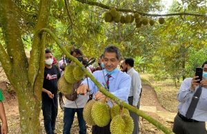 UNIDA Gontor Dukung Pengembangan Kampung Durian di Ngebel, Ponorogo