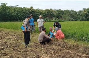 Petugas Datangi Petani Agar Mau Divaksin, Ini Pejelasan Kapolsek Pulung dan Kepala Puskesmas Pulung