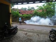 Cegah Meluasnya Serangan DBD, Pemdes Bancar Gencarkan Fogging