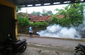 Cegah Meluasnya Serangan DBD, Pemdes Bancar Gencarkan Fogging
