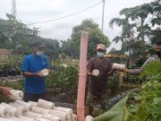 Peduli Warga Binaannya, Bhabinkamtibmas Pangogangan, Manguharjo, Berikan Bibit Jamur Tiram Untuk di Budidayakan