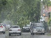 Satu Mobil Rusak Kaca Belakang Tertimpa Pohon Tumbang, Akibat Hujan Deras disertai Angin Kencang, Jalan Raden Saleh Ponorogo