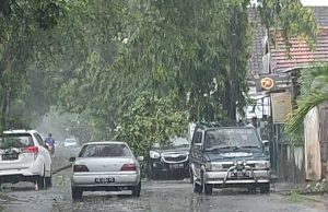 Satu Mobil Rusak Kaca Belakang Tertimpa Pohon Tumbang, Akibat Hujan Deras disertai Angin Kencang, Jalan Raden Saleh Ponorogo