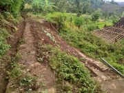 Separuh Badan Jalan Desa di Desa Temon, Sawoo, Longsor Timpa Rumah Warga