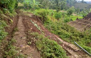 Separuh Badan Jalan Desa di Desa Temon, Sawoo, Longsor Timpa Rumah Warga