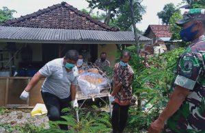 Warga Bekare, Bungkal, Laporkan Penemuan Mayat Membusuk, Korban Diperkirakan sudah 4 Hari Meninggal