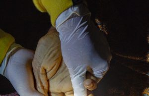 Diduga Tersengat Aliran Listrik Saat Pegang Timbangan, Warga Tugu, Mlarak Meninggal Dunia