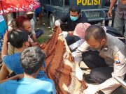 MG Warga Gegeran, Sukorejo, ditemukan Meninggal Dunia saat Mencari Pakan Ternak