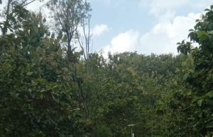 Polsek Sooko, Bantu Evakuasi Truk muat Sembako Terguling di Tanjakan Desa Suru