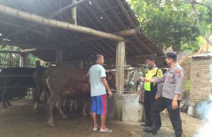 Antisipasi Virus PMK, Kapolsek Slahung Bersama Bhabinkamtibmas Gelar Patroli Sasar Peternak Sapi