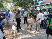 Polsek Kedunggalar Lakukan Pengawasan PMK Di Pasar Pon Desa Kedunggalar