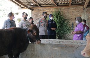 Antisipasi Virus PMK, Polres Ponorogo Bersama TNI dan Dinas Peternakan Turun Ke Lapangan