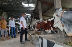 Antisipasi Penyebaran Penyakit Mulut dan Kuku, Polres Ponorogo Terjunkan Semua Bhabinkamtibmas