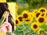 JOIWAY, Siap Ramaikan Pasar Vape Indonesia Beragam inovasi