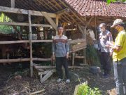 Percepat penanggulangan PMK, Polsek Sooko Laksanakan Pengumpulan Data Populasi Ternak dan Suspeck PMK