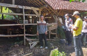 Percepat penanggulangan PMK, Polsek Sooko Laksanakan Pengumpulan Data Populasi Ternak dan Suspeck PMK