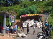 As Roda Patah, Truck Muatan Porang Terguling di Tanjakan Baosan, Ngrayun