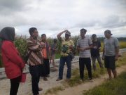 Petani di Pulung Nikmati Tata Guna Irigasi Perjuangan Johan Budi