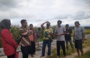 Petani di Pulung Nikmati Tata Guna Irigasi Perjuangan Johan Budi