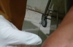 Seorang ibu di Krebet, Ponorogo, Meninggal Dunia usai Digigit Ular saat melihat TV