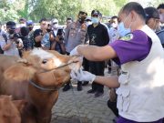 Jelang Hari Raya Idul Adha, Polres Madiun Lakukan Pengawasan Hewan Ternak
