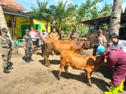 Cegah Penyebaran Virus PMK di Jember, TNI Polri Optimalkan Peran Bhabinkamtibmas dan Babinsa