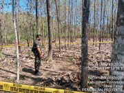 Proyektil Munisi Kaliber 105 MM di temukan Di Desa Biting, Badegan