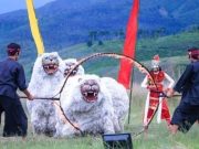 Singo Wulung dari Polres Bondowoso Akan Tampil di Malam Puncak Harmoni Nusantara Polda Jatim 2022