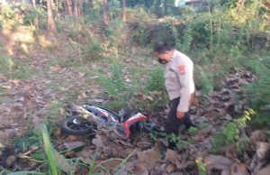Tabrak Pohon Pinggir Jalan, Pemotor di Jebeng, Ponorogo Meninggal Dunia di TKP