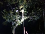 Bocah di Ponorogo Meninggal Dunia Tersetrum, Setelah Pegang Tiang Lampu