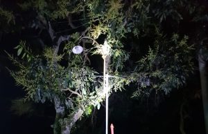 Bocah di Ponorogo Meninggal Dunia Tersetrum, Setelah Pegang Tiang Lampu