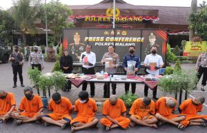 Polres Malang Berhasil Ungkap Kebun Ganja Seluas 1 Hektare di Lereng Semeru