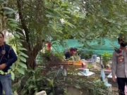 Ini Hasil Autopsi AM yang Diduga Dianiaya Seniornya Santri PMDG