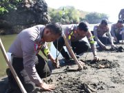 Aksi Peduli Lingkungan, Polres Blitar Tanam Puluhan Ribu Mangrove dan Lepas Tukik ke Pantai