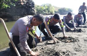 Aksi Peduli Lingkungan, Polres Blitar Tanam Puluhan Ribu Mangrove dan Lepas Tukik ke Pantai