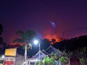 Hutan di Desa Karanglo Kidul, Jambon Terbakar