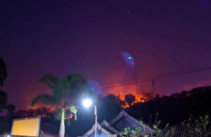 Hutan di Desa Karanglo Kidul, Jambon Terbakar