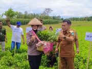 Sarasehan Petani Makmur Desa Bringinan, Jambon dan Panen Perdana Kacang Tanah, Bersama Pupuk Kaltim
