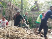 Rumah Roboh, Satu Warga Duri Tertimpa Reruntuhan