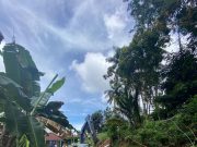 Pulihkan Listrik Ngebel Kerahkan PLN se Eks Karesidenan Madiun