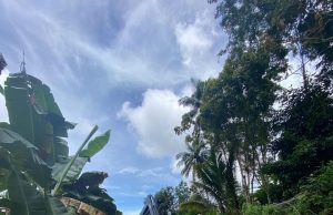 Pulihkan Listrik Ngebel Kerahkan PLN se Eks Karesidenan Madiun