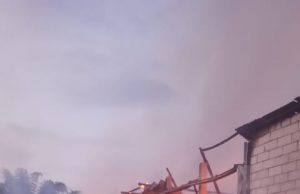 Kandang Berisi 32 ribu ekor ayam di Kaponan, Mlarak, Ludes Terbakar