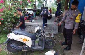 Pohon di Ngumpul, Balong, Tumbang Saat Hujan Angin, Timpa 1 Pemotor