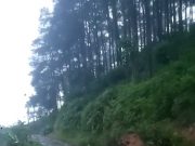 Hujan Deras 4 jam, Longsor dan Banjir Melanda 5 Kecamatan di Ponorogo