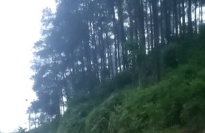 Hujan Deras 4 jam, Longsor dan Banjir Melanda 5 Kecamatan di Ponorogo