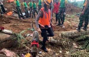 Polisi Terjunkan Anjing Pelacak, Cari titik Korban Tertimbun Longsor di Cianjur