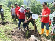 Demi Anak Cucu, 4.448 Bibit Pohon Pinus Ditanam di RPH Slahung