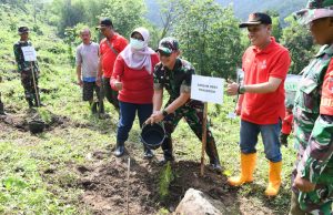 Demi Anak Cucu, 4.448 Bibit Pohon Pinus Ditanam di RPH Slahung